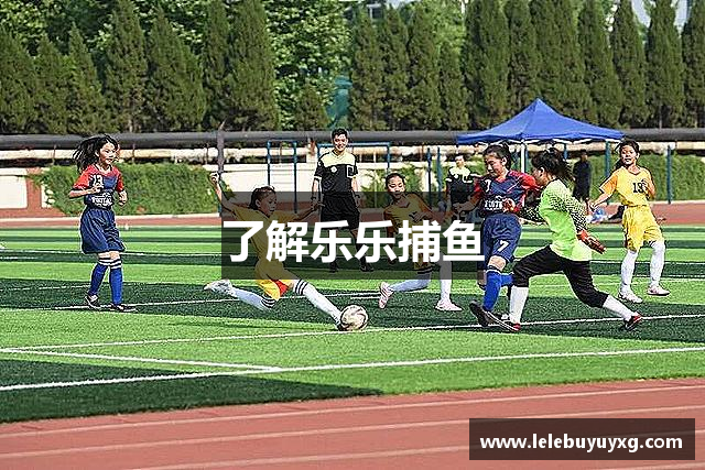 了解乐乐捕鱼